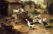 unknow artist Poultry 076 Spain oil painting artist